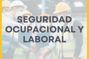 SEGURIDAD OCUPACIONAL Y LABORAL SEGURIDAD OCUPACIONAL Y LABORAL